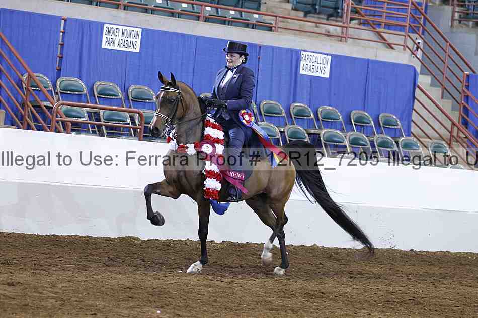 Proof Number 12r12_7205