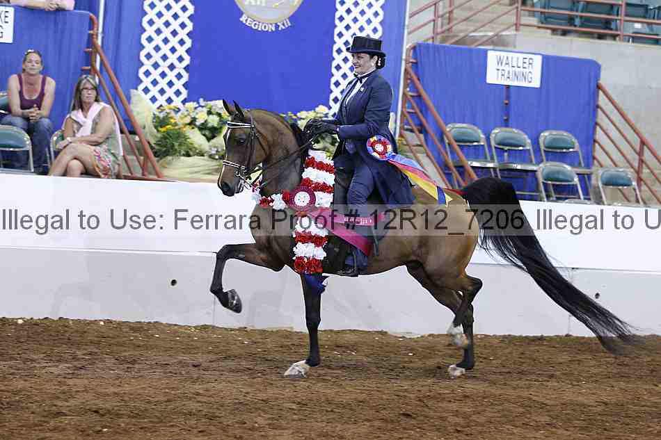 Proof Number 12r12_7206