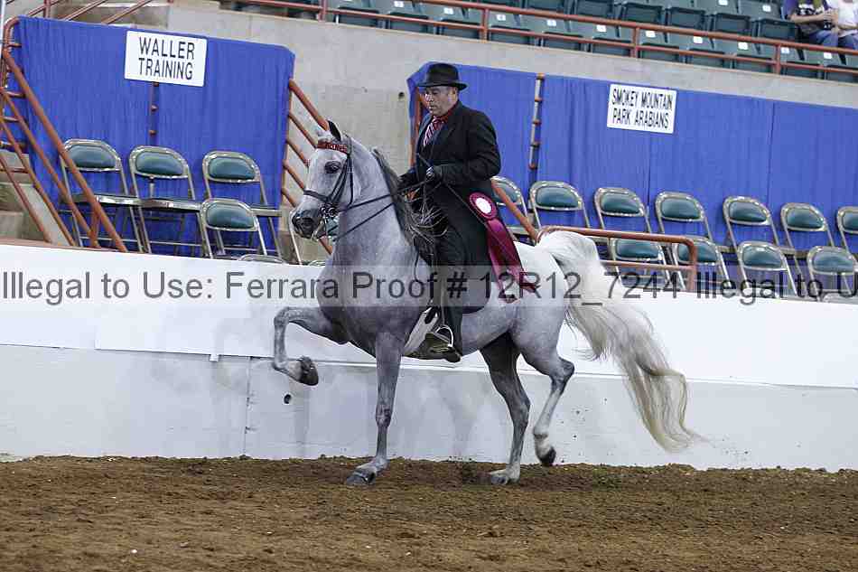 Proof Number 12r12_7244