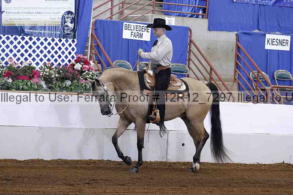 Proof Number 12r12_7297