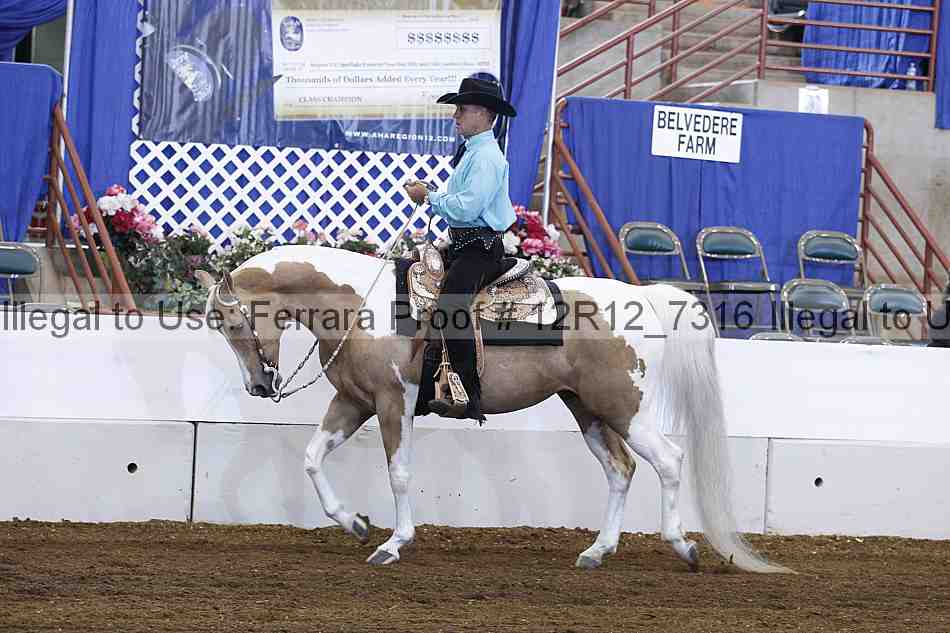 Proof Number 12r12_7316