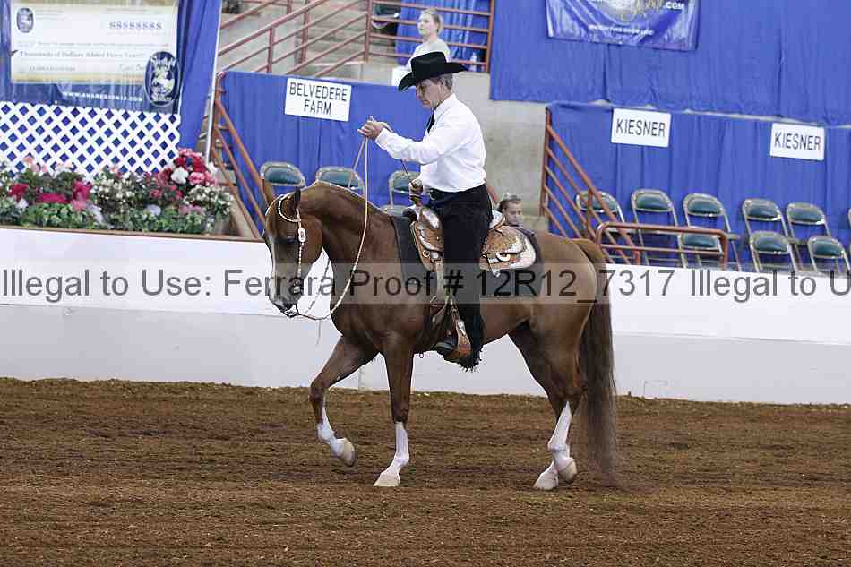 Proof Number 12r12_7317
