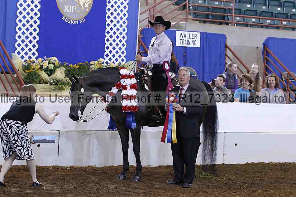 Proof Number 12r12_7323