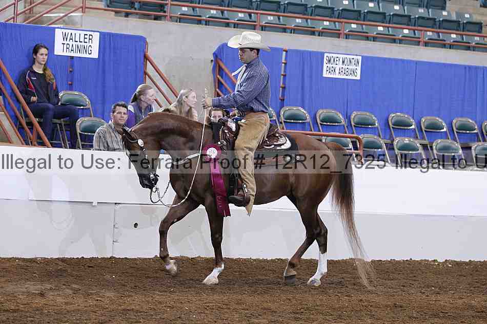 Proof Number 12r12_7325