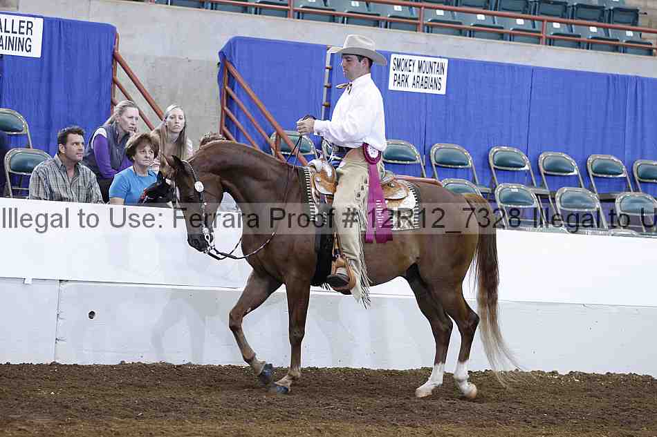 Proof Number 12r12_7328