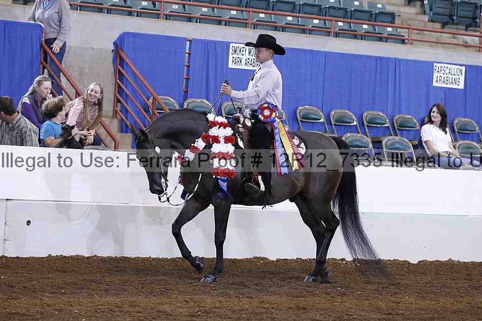 Proof Number 12r12_7335