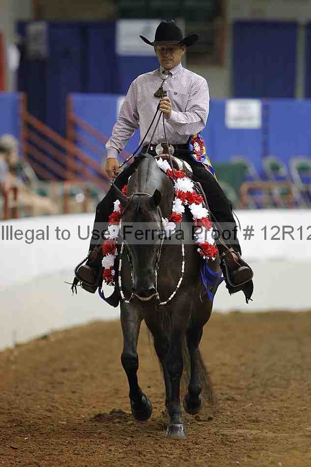 Proof Number 12r12_7338