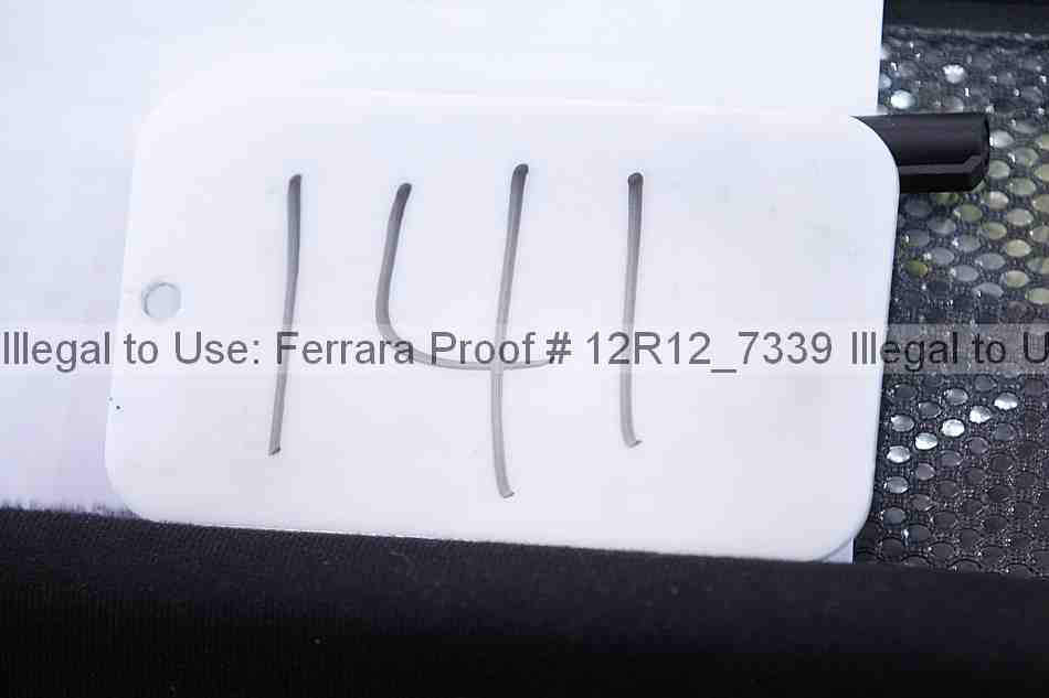 Proof Number 12r12_7339