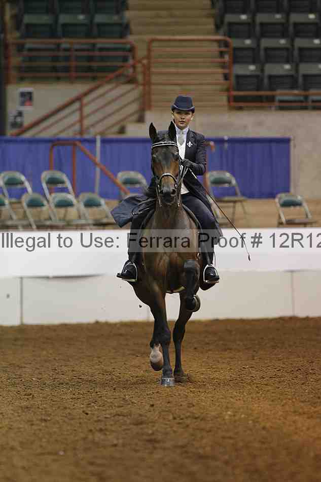 Proof Number 12r12_7348