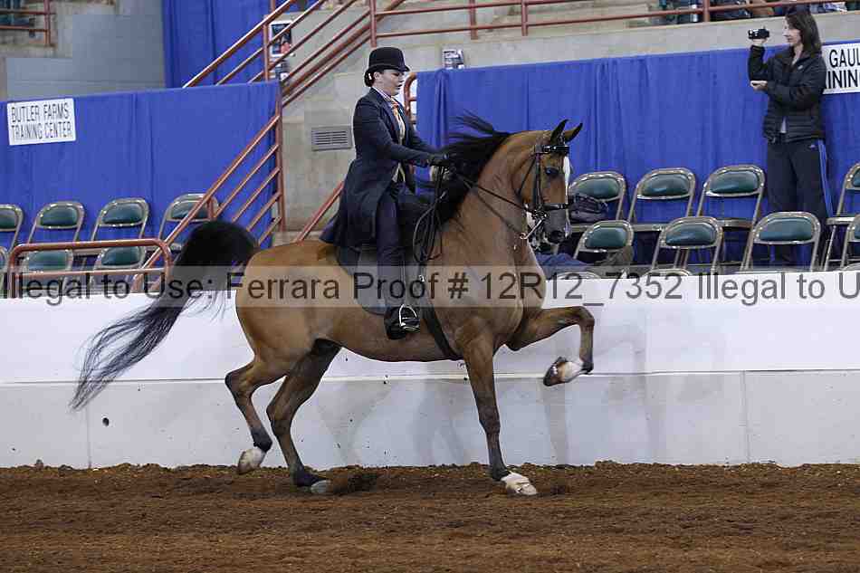 Proof Number 12r12_7352