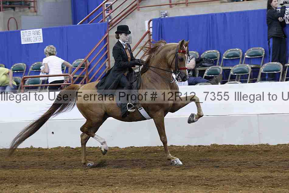 Proof Number 12r12_7355