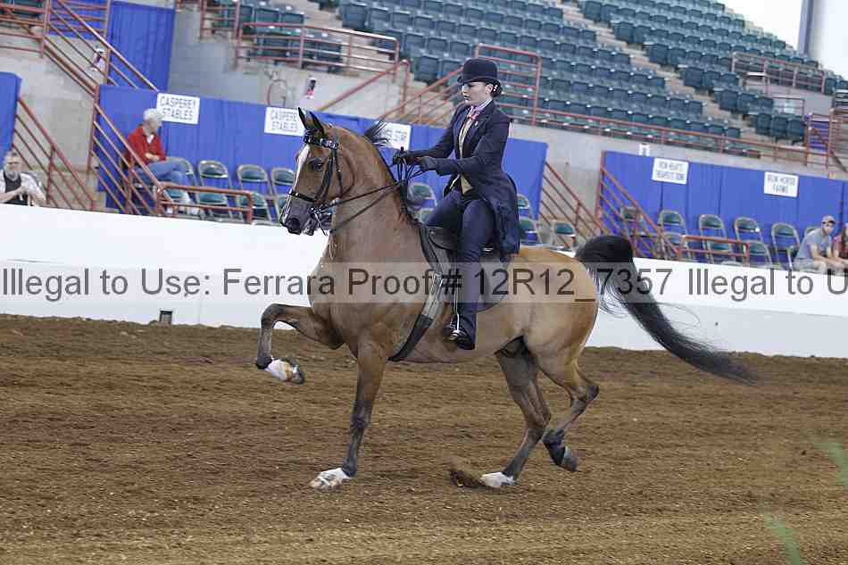 Proof Number 12r12_7357