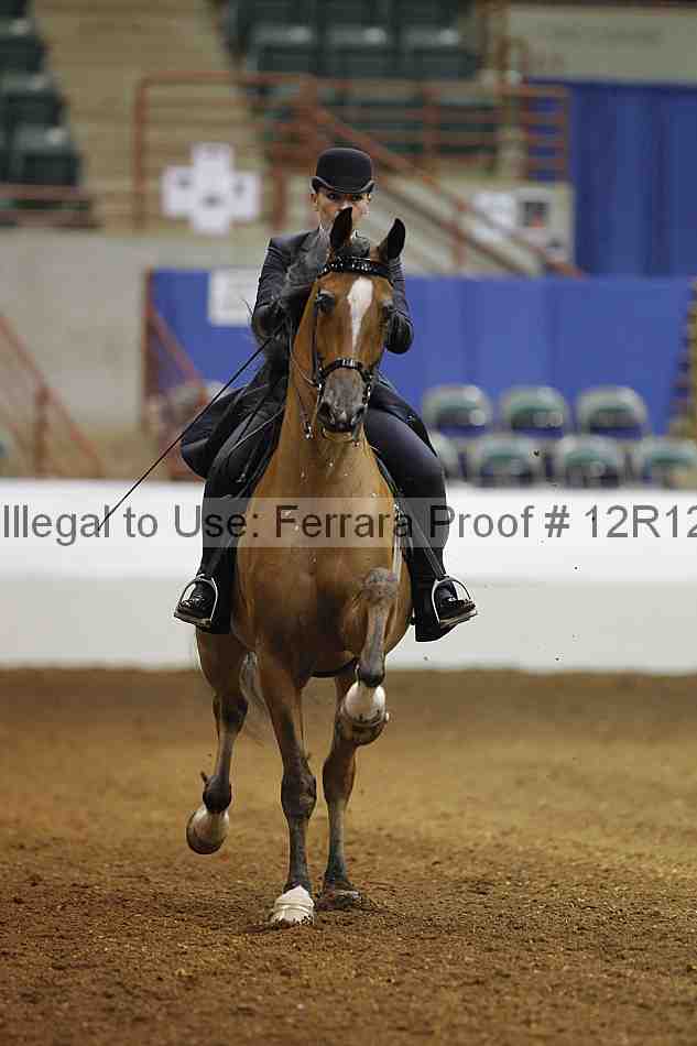 Proof Number 12r12_7360
