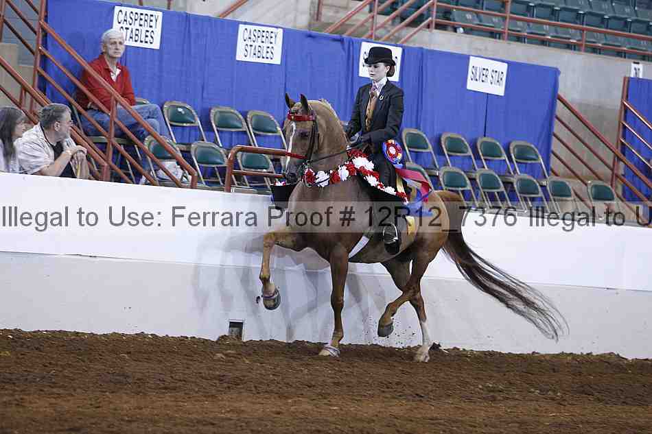 Proof Number 12r12_7376