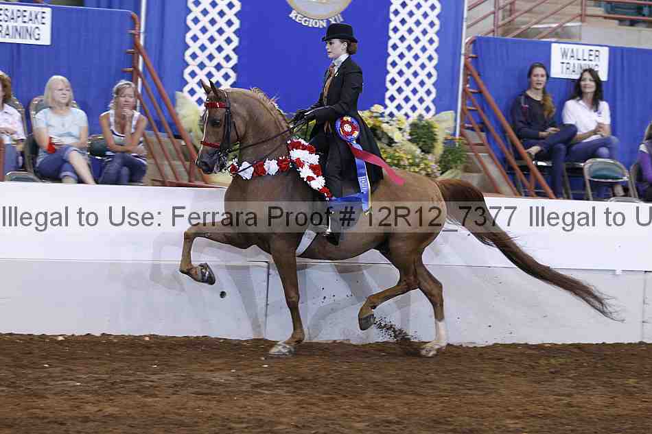 Proof Number 12r12_7377