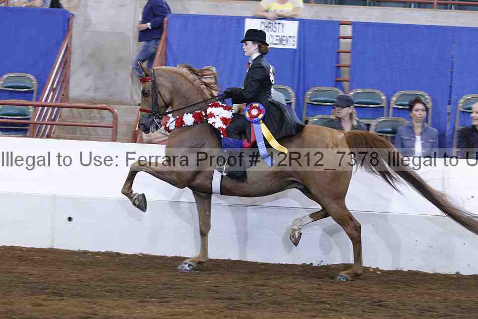 Proof Number 12r12_7378