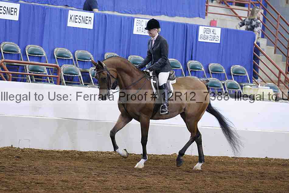 Proof Number 12r12_7388