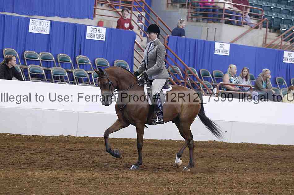 Proof Number 12r12_7390