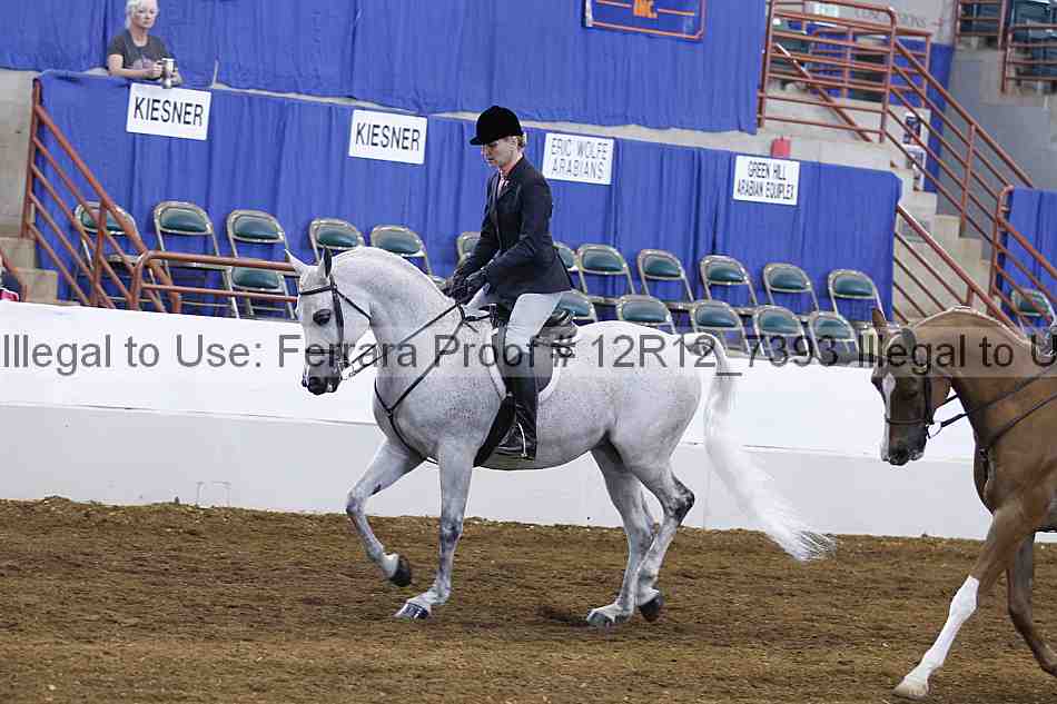 Proof Number 12r12_7393