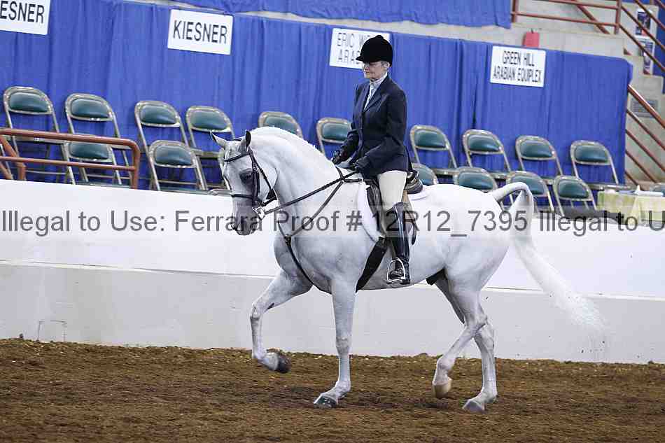 Proof Number 12r12_7395