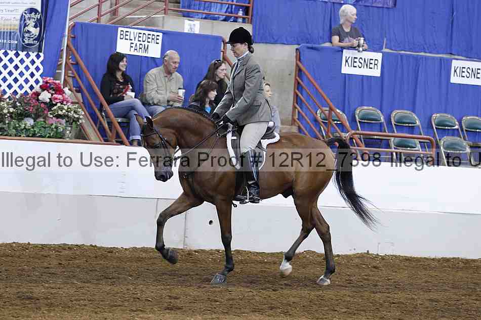 Proof Number 12r12_7398