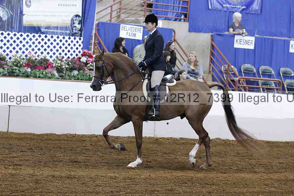 Proof Number 12r12_7399