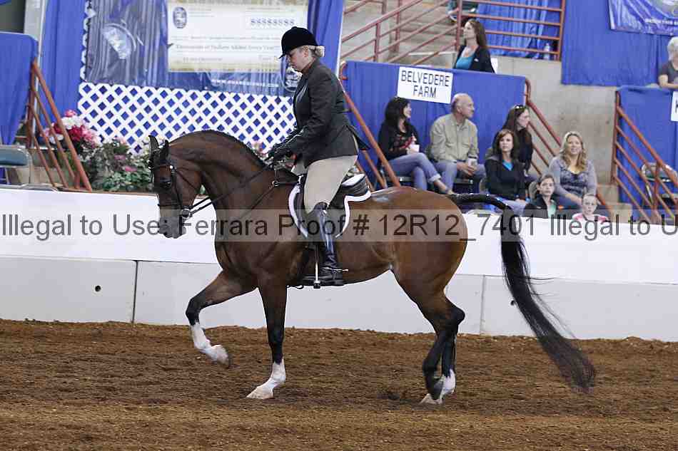 Proof Number 12r12_7401