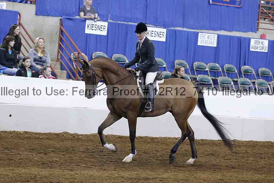 Proof Number 12r12_7410