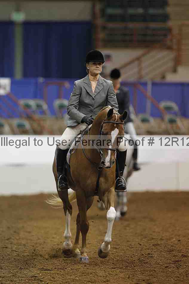 Proof Number 12r12_7412