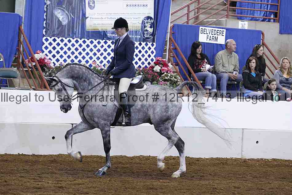 Proof Number 12r12_7413