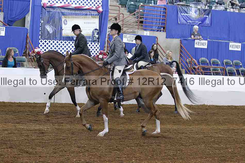 Proof Number 12r12_7416