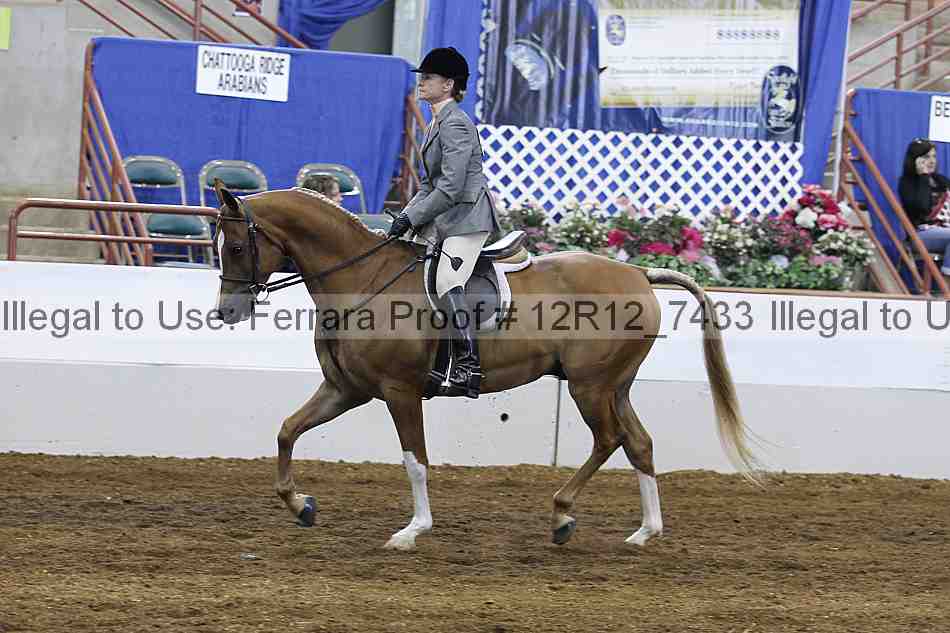 Proof Number 12r12_7433