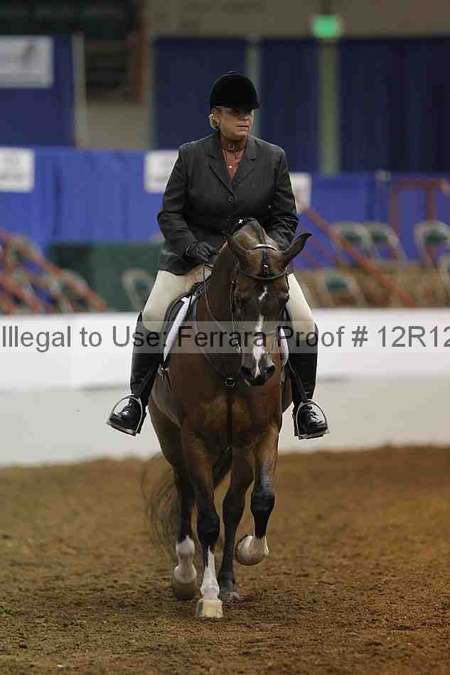 Proof Number 12r12_7439