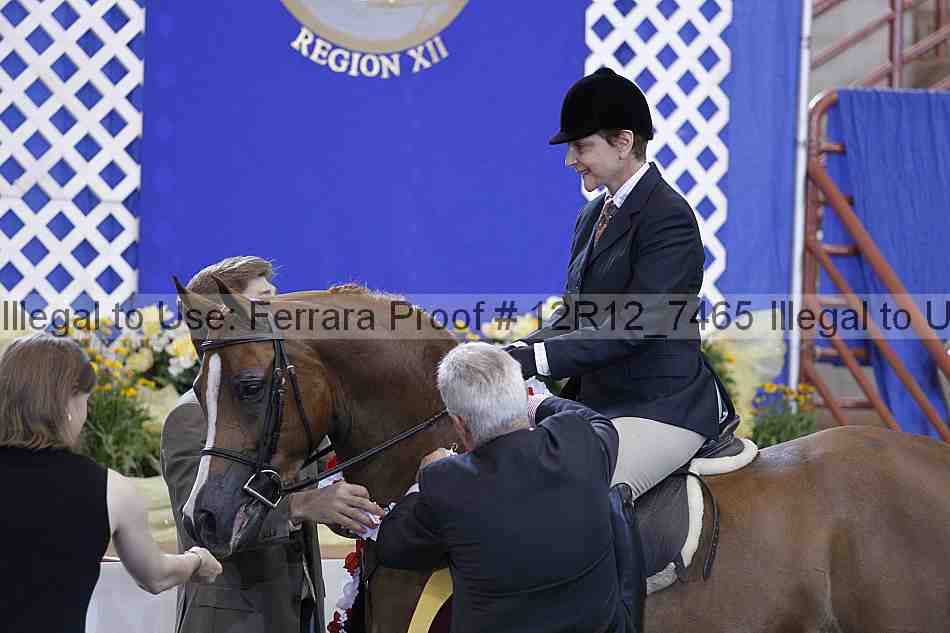 Proof Number 12r12_7465