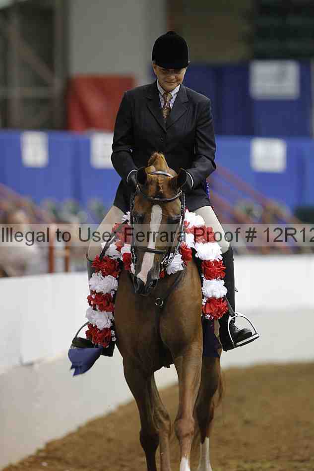Proof Number 12r12_7487