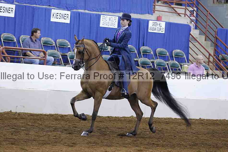Proof Number 12r12_7496