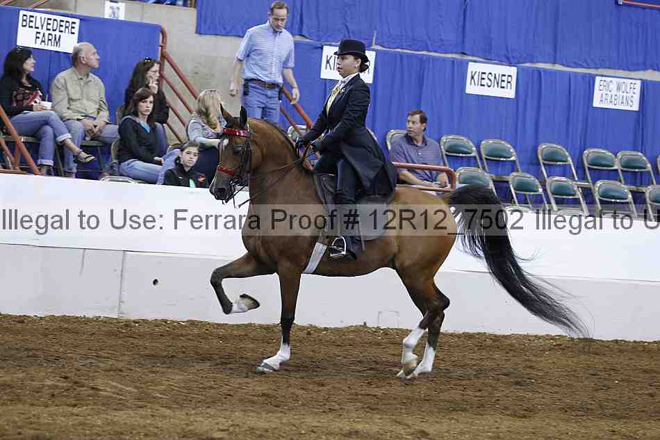 Proof Number 12r12_7502