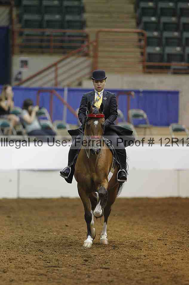 Proof Number 12r12_7503