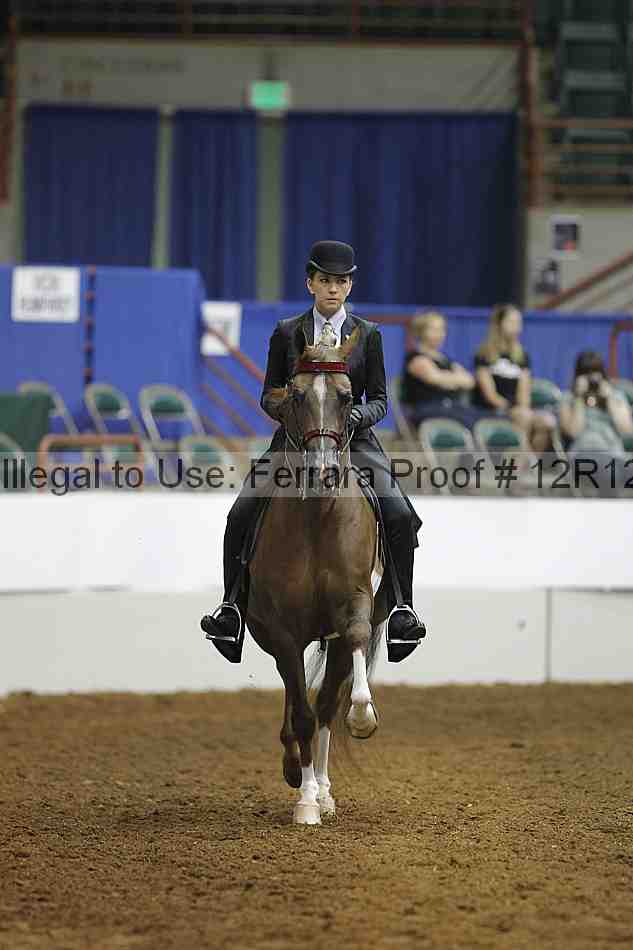 Proof Number 12r12_7508