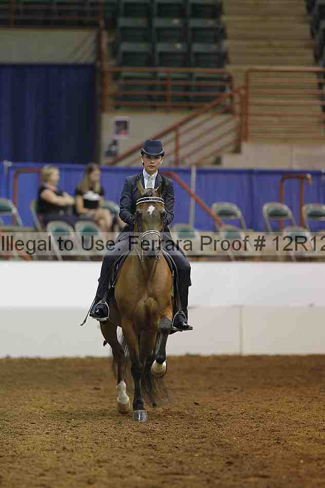 Proof Number 12r12_7510