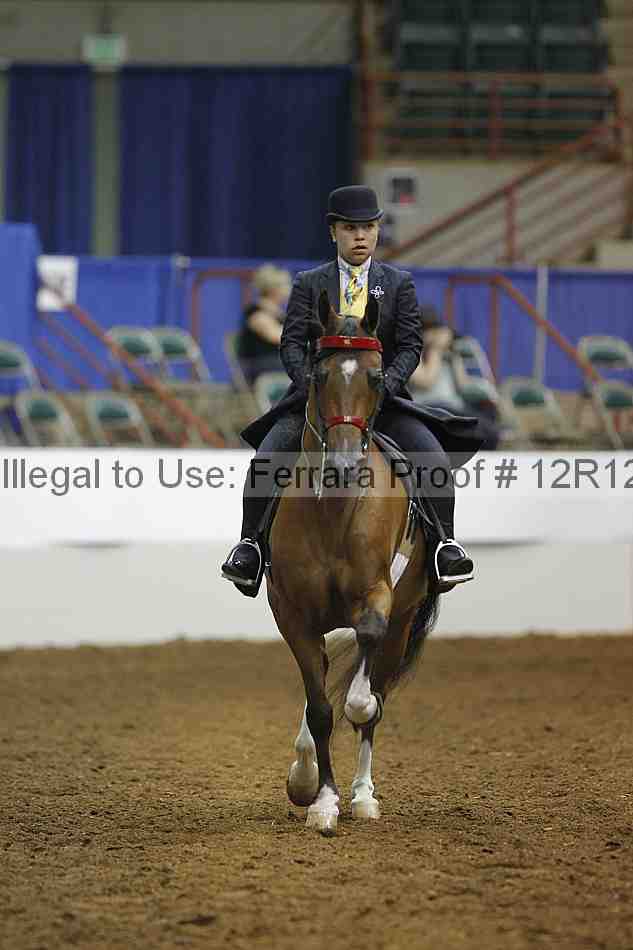 Proof Number 12r12_7511