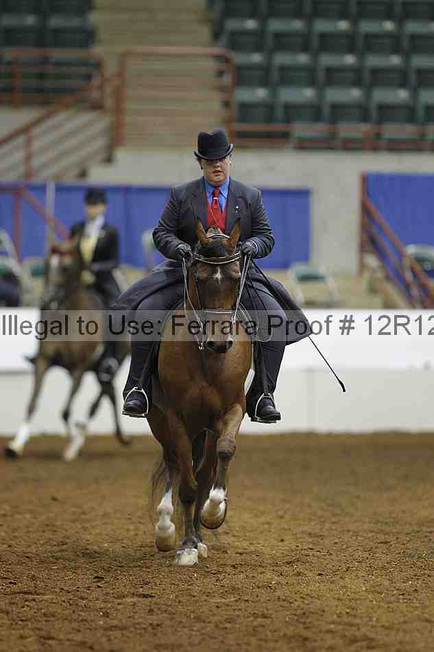 Proof Number 12r12_7513