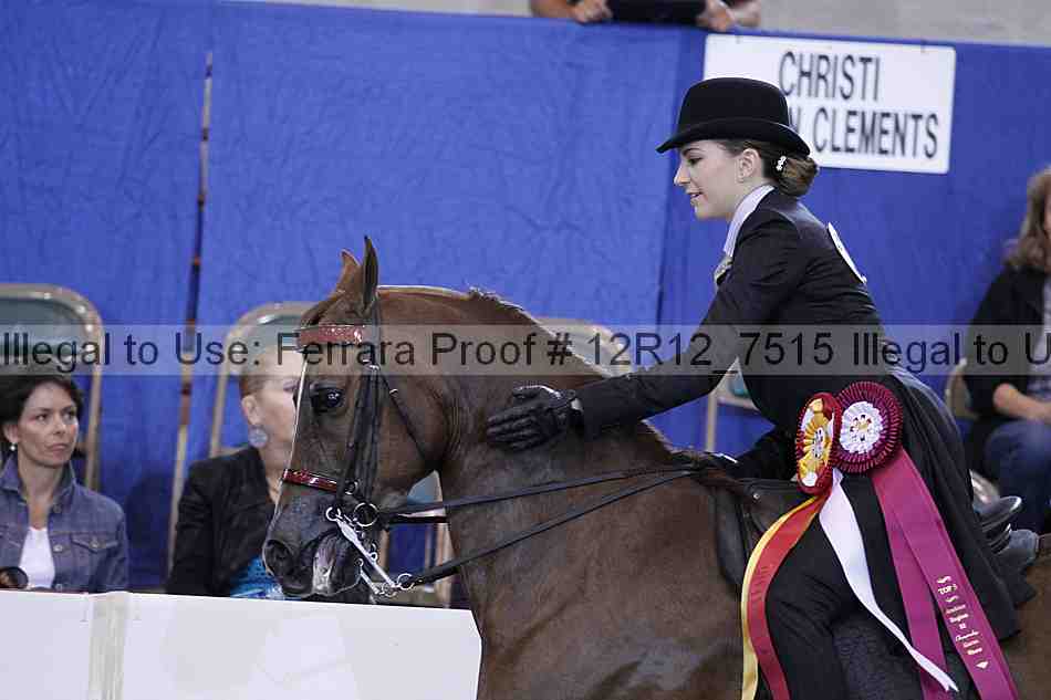 Proof Number 12r12_7515
