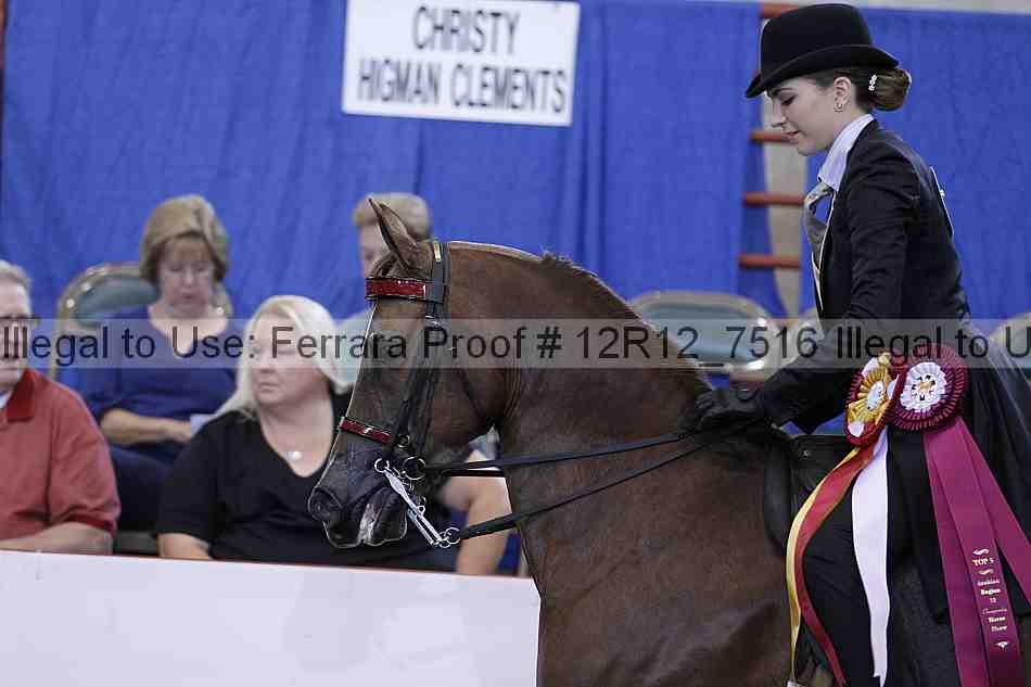 Proof Number 12r12_7516