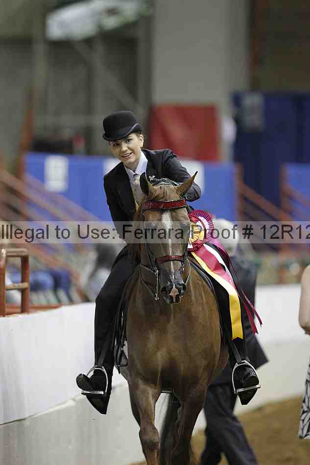 Proof Number 12r12_7519