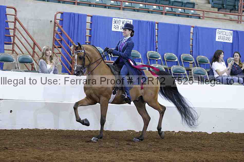 Proof Number 12r12_7525