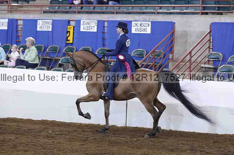 Proof Number 12r12_7527