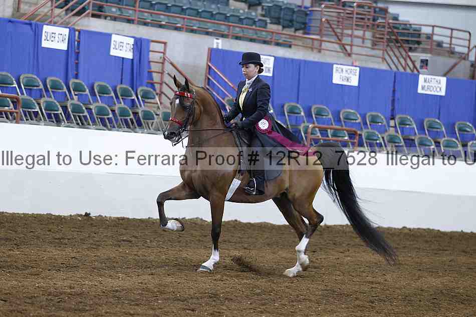 Proof Number 12r12_7528