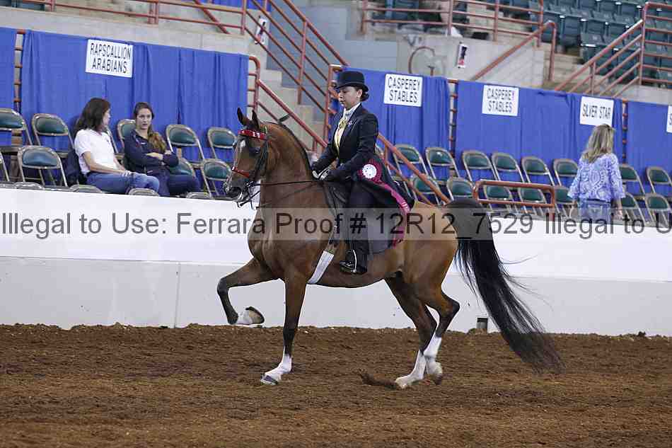 Proof Number 12r12_7529