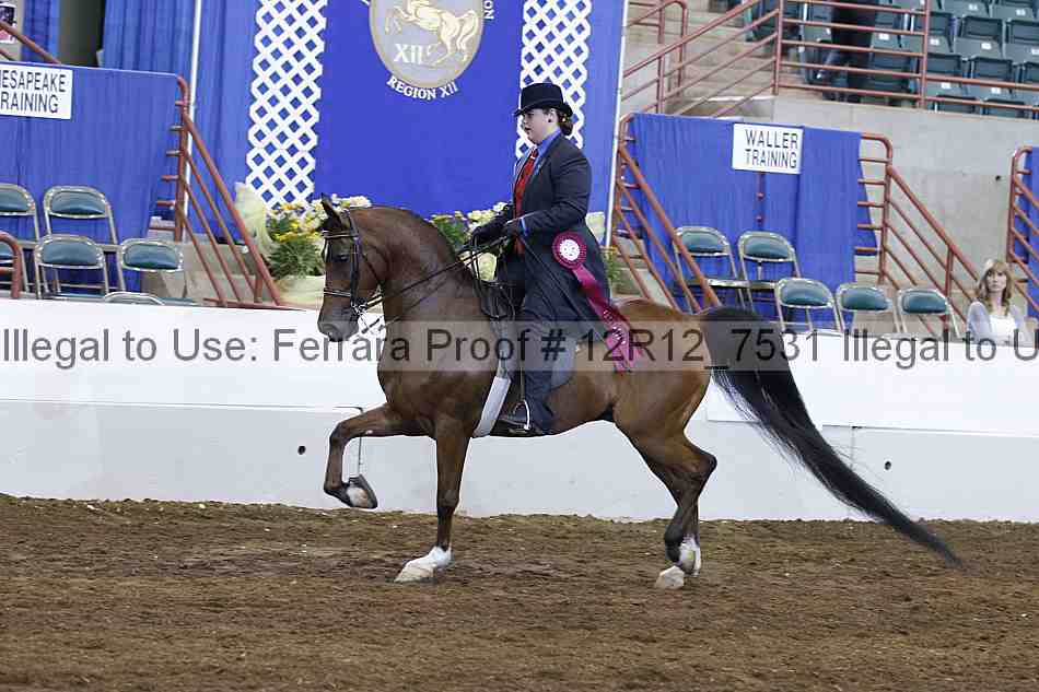 Proof Number 12r12_7531